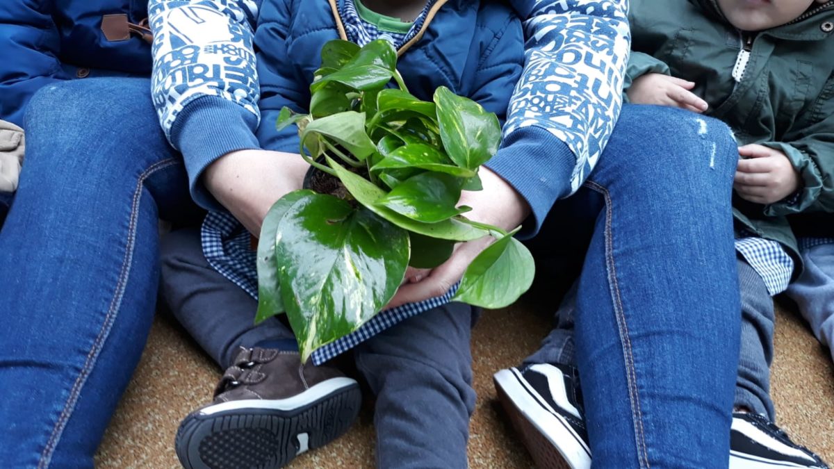 Fobesa celebra el día del árbol repartiendo árboles a los niños y niñas de Benicàssim