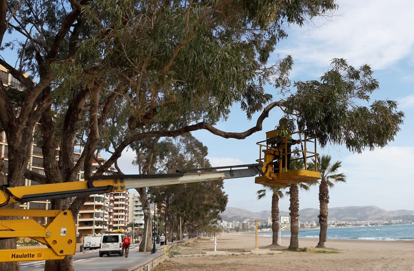 FOBESA mejora las zonas verdes de Benicàssim