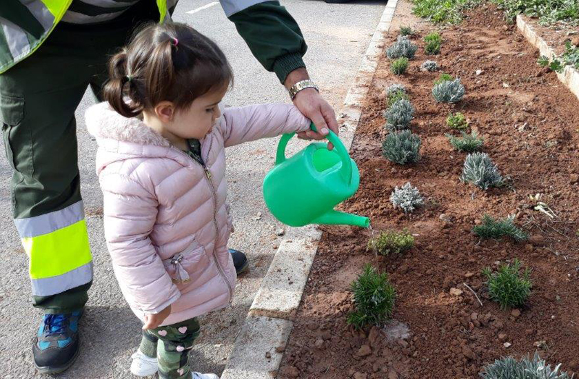 El Ayuntamiento de Benicàssim y FOBESA celebran el Día del Árbol con la plantación de aromáticas en la Escoleta Pintor Tasio